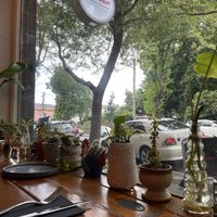   at Monsoon in Launceston