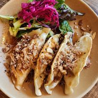 Vegan gyoza at Monsoon in Launceston