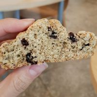 Earl grey chocolate scone - size at Wholesome 홀썸 in Seoul