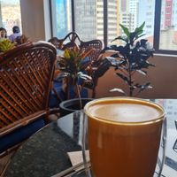 Atmosphere at Biofilia - Botánica Coffee House in La Paz