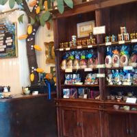 Easter eggs. at The Chocolate Tree in Edinburgh