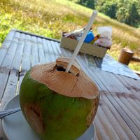 Coconut fresh at Rabbit Bungalow in Koh Phayam