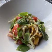 Panzanella of tomatoes, confit fennel & charred peppers  at Patsy's in Melbourne
