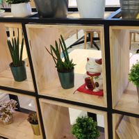 Decor in the store at Veggie House 一芳 - Tai Seng in Central Singapore