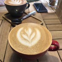 Oat latte and oat cappuccino  at L'Origine in Madrid
