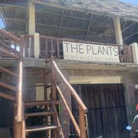   at The Plants in Zanzibar