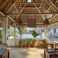  at The Plants in Zanzibar