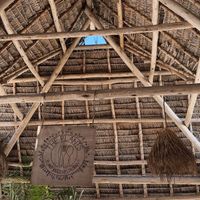   at The Plants in Zanzibar