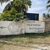   at The Plants in Zanzibar