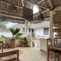   at The Plants in Zanzibar