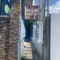   at Veggie Campus in Kingston