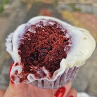  at Veggie Campus in Kingston