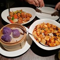 Mock duck in black bean sauce, ma po tofu and vegetable dumplings at Plum Valley in London
