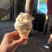 Toasted coconut non dairy   at The Fat Donkey Ice Cream and Fine Desserts in Cocoa Beach