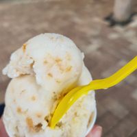 Toasted coconut at The Fat Donkey Ice Cream and Fine Desserts in Cocoa Beach