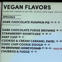 Choices   at Van Leeuwen Ice Cream - 253 Columbus Ave in New York City