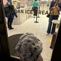Chocolate mint  at Van Leeuwen Ice Cream - 253 Columbus Ave in New York City