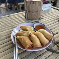 Spring rolls   at Colorful Hut in Koh Phangan