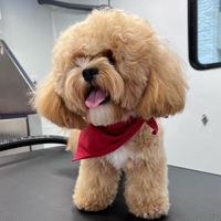   at Woovy in San Diego