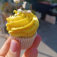  at Lilium Cakery in North West London