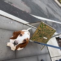   at Glitter Thicket in Nyack