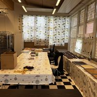   at Vegan Delights Chocolate Factory in Uppsala