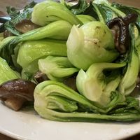 Bok Choy and mushroom   at wonderful in Millbrae