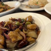   at Vegan Planet in North West London