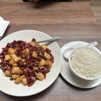   at Vegan Planet in North West London