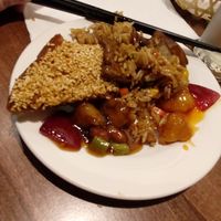 A mix of all the dishes at Vegan Planet in North West London