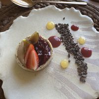 Date Tart - a little sour but delicious and light   at BIO at Xcaret Mexico in Playa Del Carmen