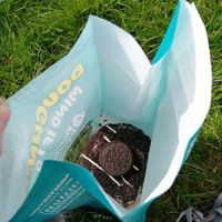 Oreo vegan donut at Planet Donut  in Lichfield