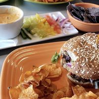 Veggie burger and queso at Lotus Leaf Cafe in Wichita