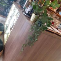  at herBar in Budapest