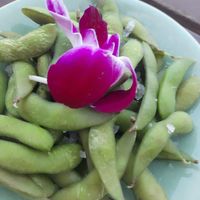 Edamame at Jungle Club in Koh Samui