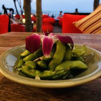   at Jungle Club in Koh Samui