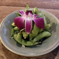   at Jungle Club in Koh Samui