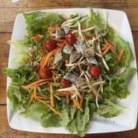   at Herbolarium in Santa Fe