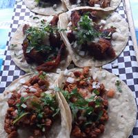 three out of four choice including two seitan and one soya at Pura Vida Vegan Tacos in Antwerpen