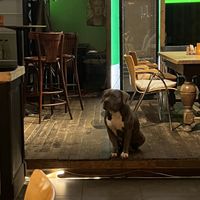   at Pura Vida Vegan Tacos in Antwerpen