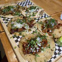 All 5 tacos!  at Pura Vida Vegan Tacos in Antwerpen