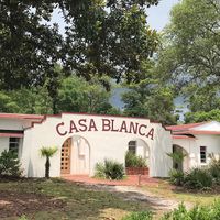   at Casa Blanca Coffee Roasters in Wilmington