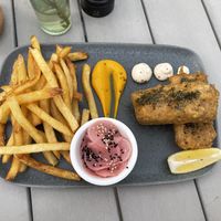   at Planet Terra in Dubai