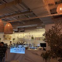   at Planet Terra in Dubai