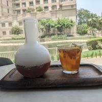  at Planet Terra in Dubai