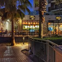 View of the terrace at Planet Terra in Dubai
