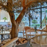 The interior at Planet Terra in Dubai