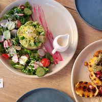  at Planet Terra in Dubai