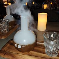  at Planet Terra in Dubai