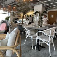   at Planet Terra in Dubai